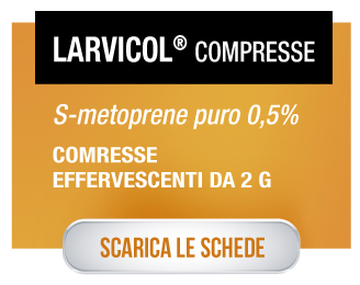 Larvicol_compresse