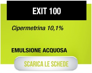 Exit100-01